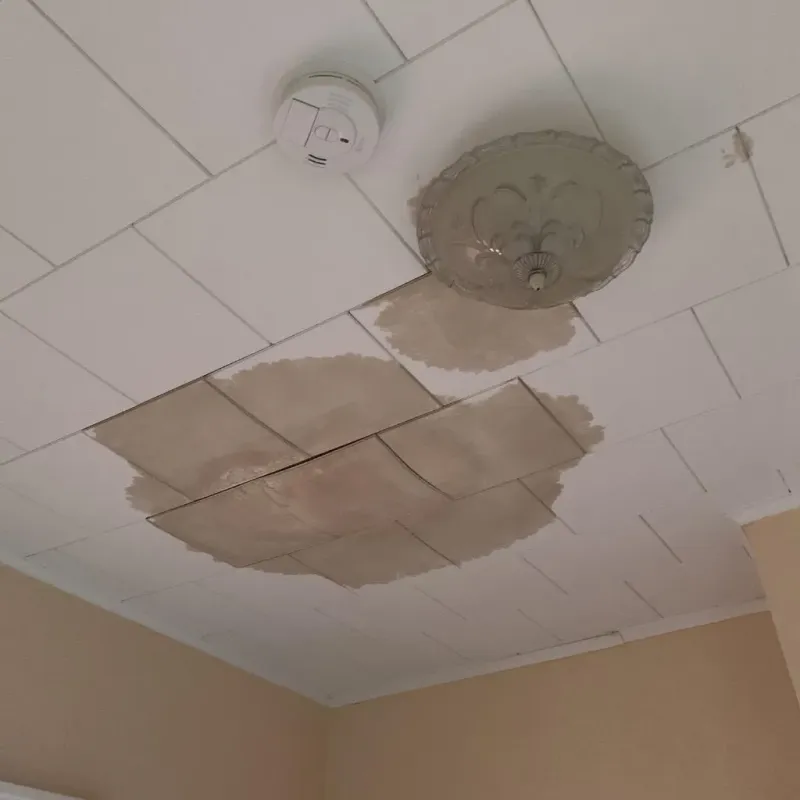 Ceiling Water Damage Repair in Marion, IA