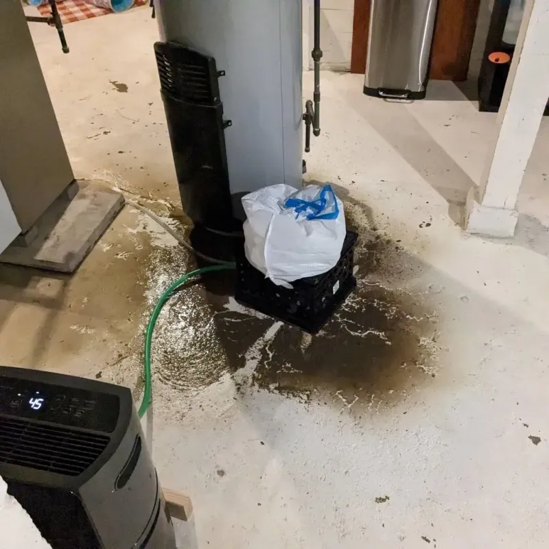 Sewage Backup Cleanup Service in Marion, IA